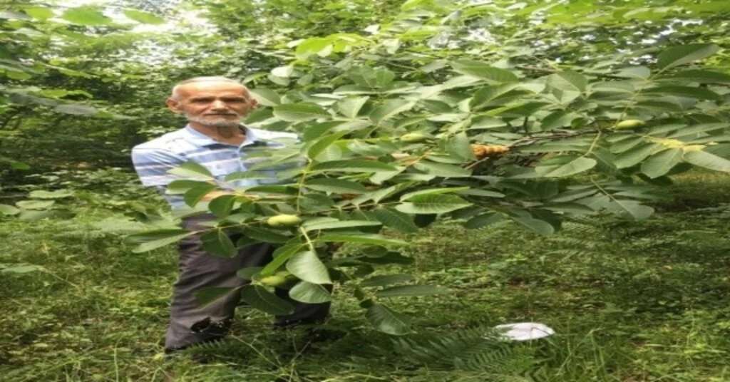 Camide Öz Kardeşini Öldürdü
