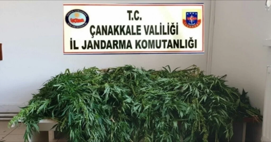 Çanakkalede Uyuşturucu Operasyonu