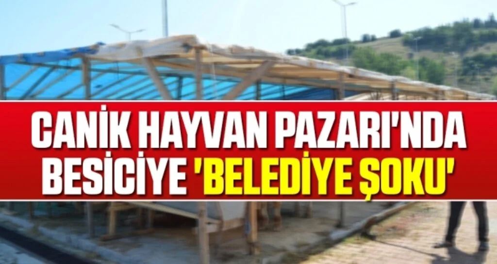 Canik Hayvan Pazarı'nda besiciye 'belediye şoku'