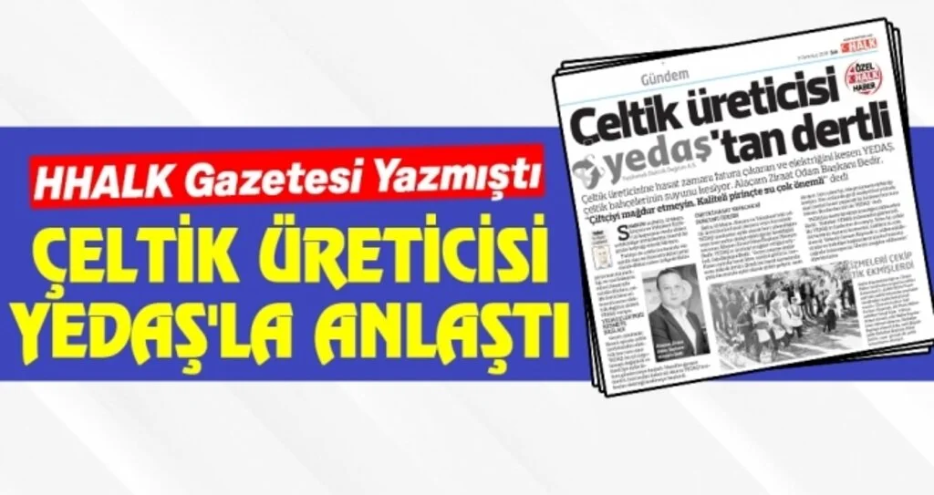 Çeltik üreticisi YEDAŞ'la anlaştı