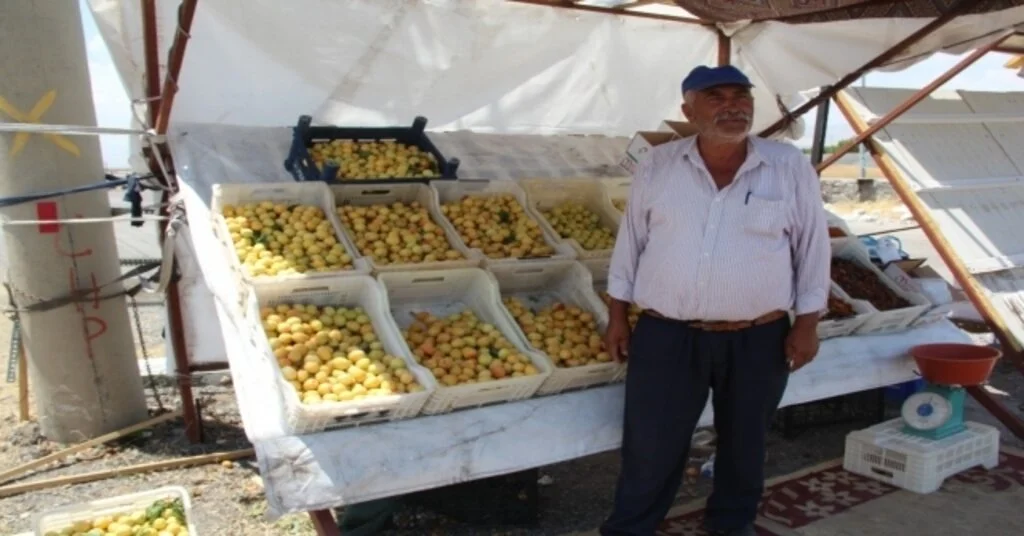 Çiftçiler Kayısılarını Satabilmek İçin Güneşin Altında Ter Döküyor