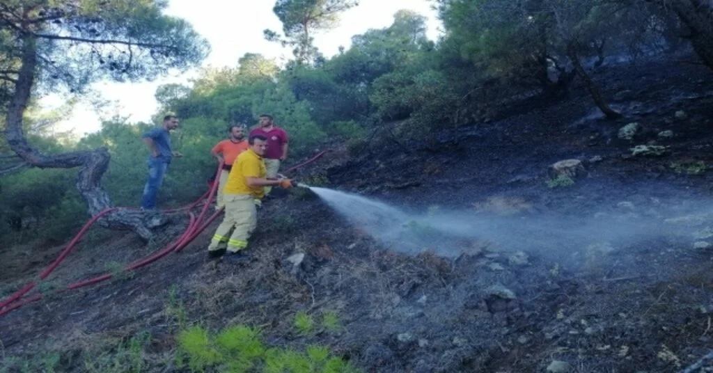 Çorumda Orman Yangını; 2 Hektar Alan Kül Oldu