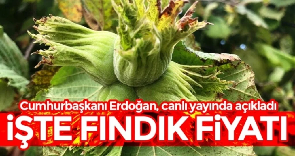 Cumhurbaşkanı Erdoğan 2019 Yılı Fındık Fiyatını Açıkladı