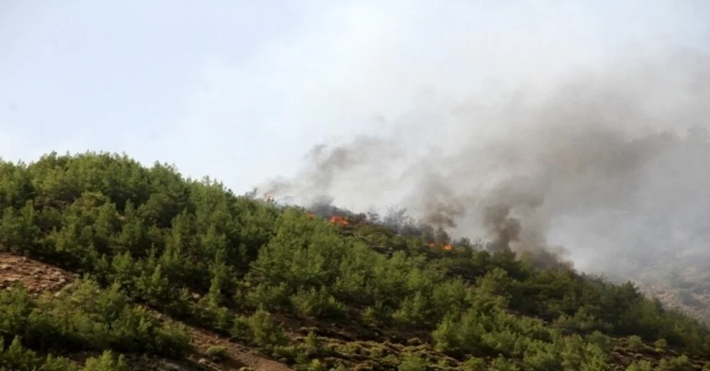 Dalamandaki Yangın Yeniden Aktif Hale Geldi