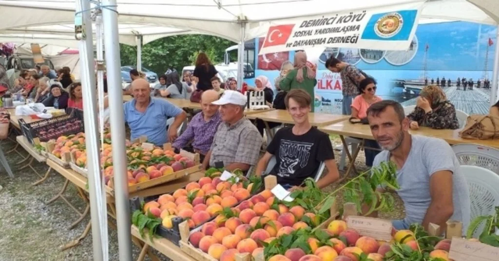 Demiciköyde Şeftali Festivali