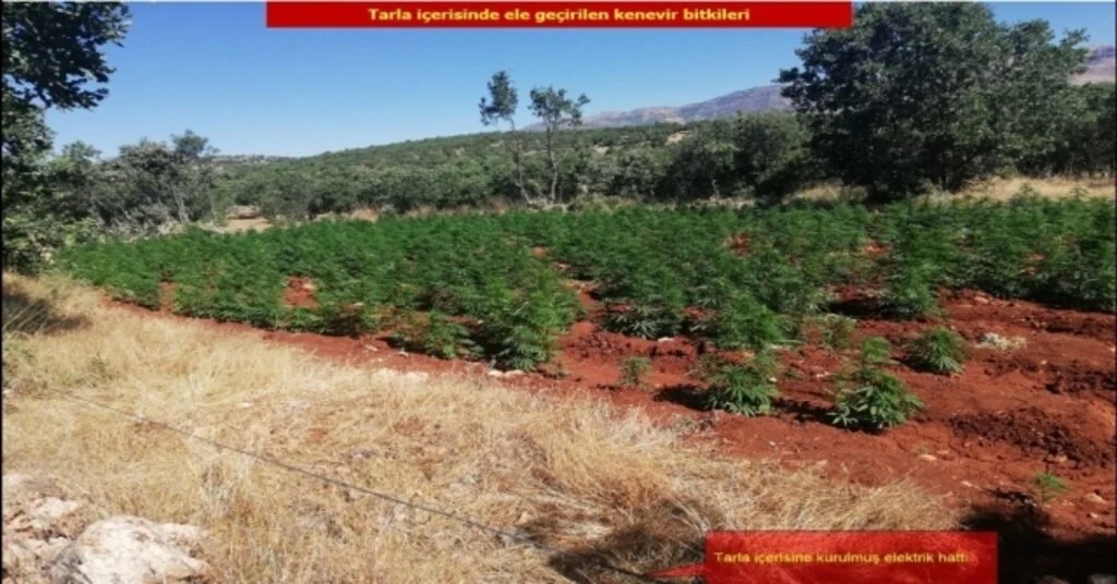 Diyarbakırda Terörün Finans Kaynağına Büyük Darbe