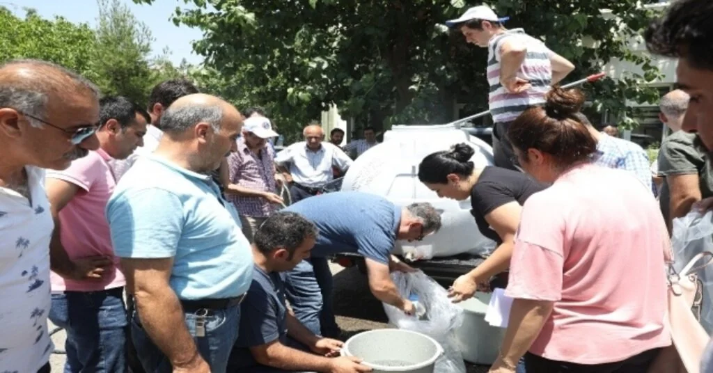 Diyarbakırdaki Göletlere 121 Bin Sazan Balığı Yavrusu Bırakıldı