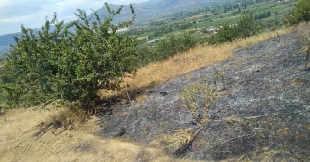 Elektrik Hattı Koptu, Mera Yandı İddiası