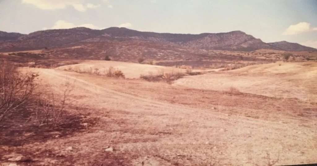 Elmalıda 20 Yıl Önce Yanan Orman Yeniden Canlandı