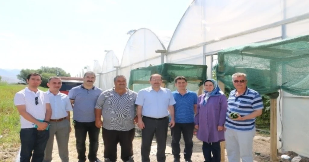 Erzincanda Sera Yatırımları Artıyor
