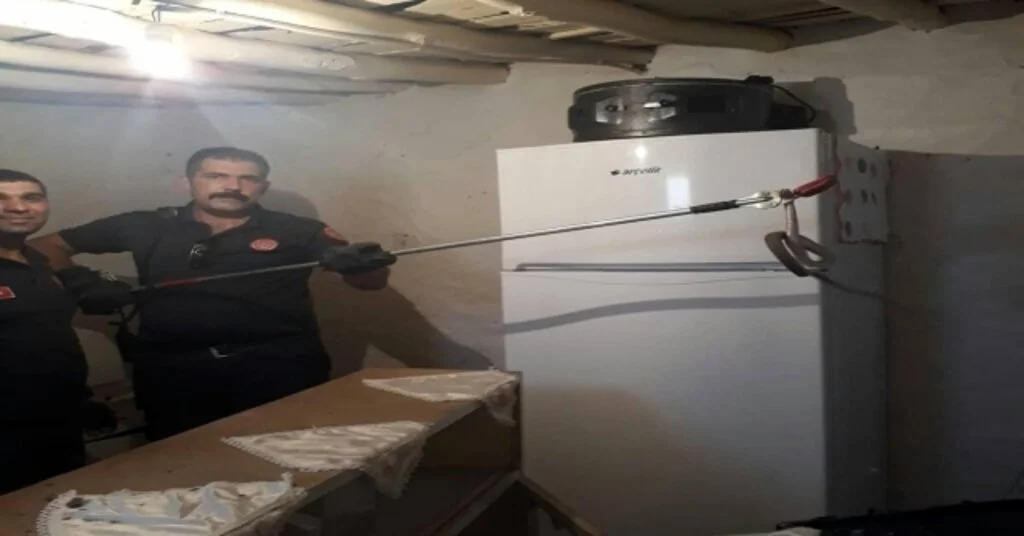 Eve Giren Yılanı İtfaiye Ekipleri Çıkardı