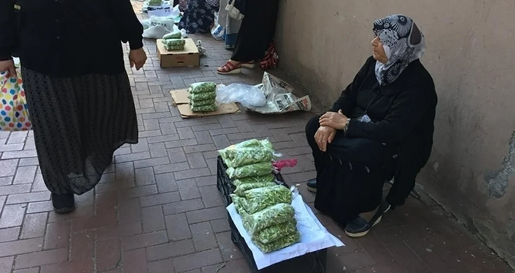 Fazla yağmur gören bamya, üreticiyi memnun etmedi