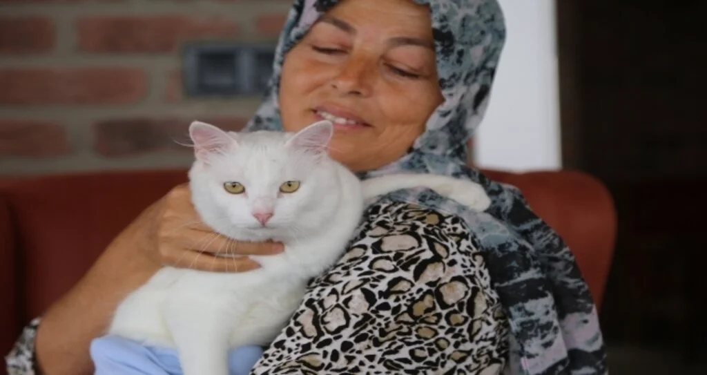 Felçli kedi, Hülya öğretmen  sayesinde hayata tutundu