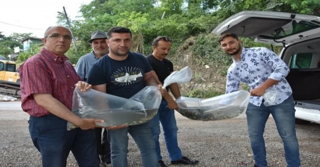 Gaga Gölüne 30 Bin Sazan Yavrusu