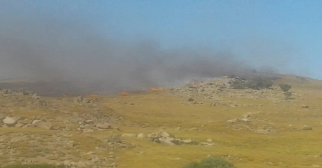 Gökçeadada Korkutan Yangın