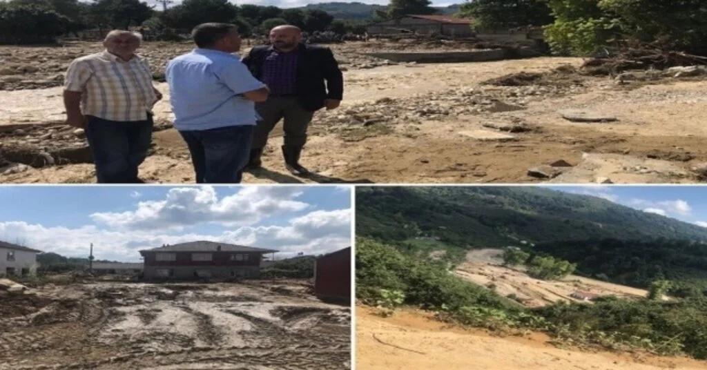 Gündüz Başkan Yardımcısı, Gece Cerrah
