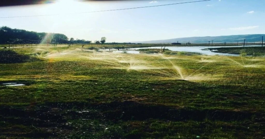 Gürpınarda Parklar Güzelleşiyor