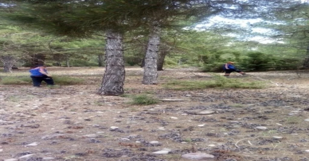 Haber Alınamayan Kadın Çoban, Evine Geri Dönerken Bulundu
