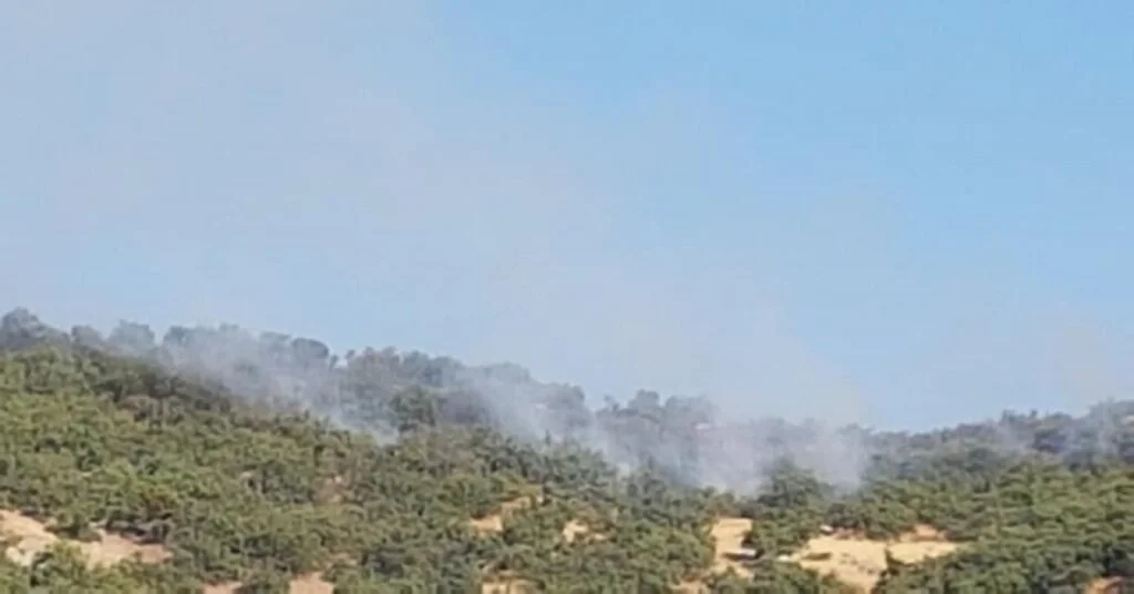Hozatta Orman Yangını, Ekipler Müdahale Ediyor