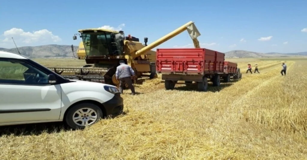 Hububat Timleri İş Başında, Fazla Dane Kaybını Önleyerek, Biçerdöver İhlallerine Yaptırım Uygulayacaklar