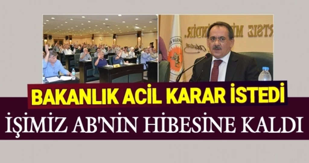 İŞİMİZ AB'NİN HİBESİNE KALDI