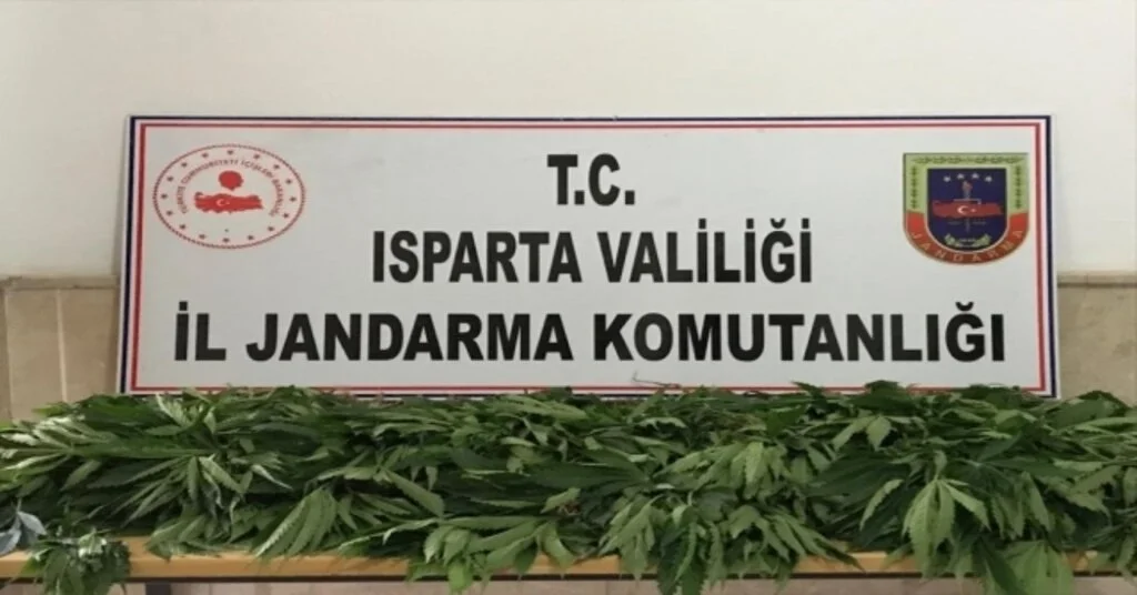 Ispartada 158 Kök Hint Keneviri Ele Geçirildi