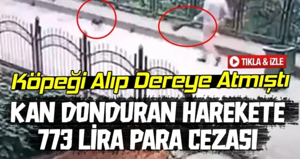 Kan Donduran Harekete 773 Lira Para Cezası