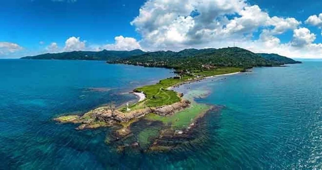Karadeniz’in altın  postu: Yason 