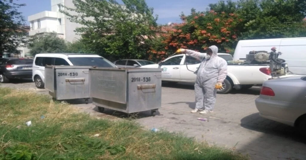 Karasineğe Karşı Çöp Konteynerleri İlaçlanıyor