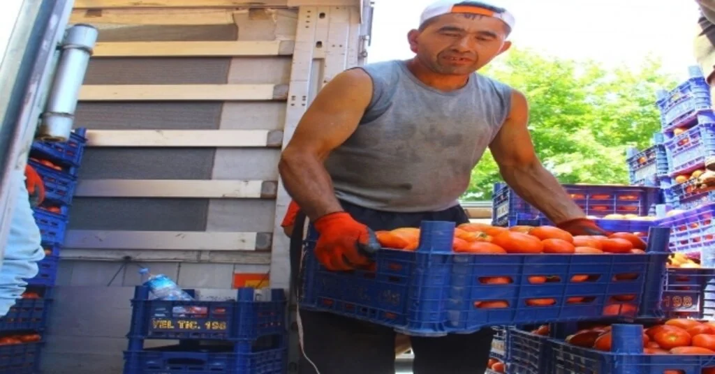 Kas Yapmak İçin Değil Ekmek Kazanmak İçin Her Gün 40 Ton Taşıyorlar