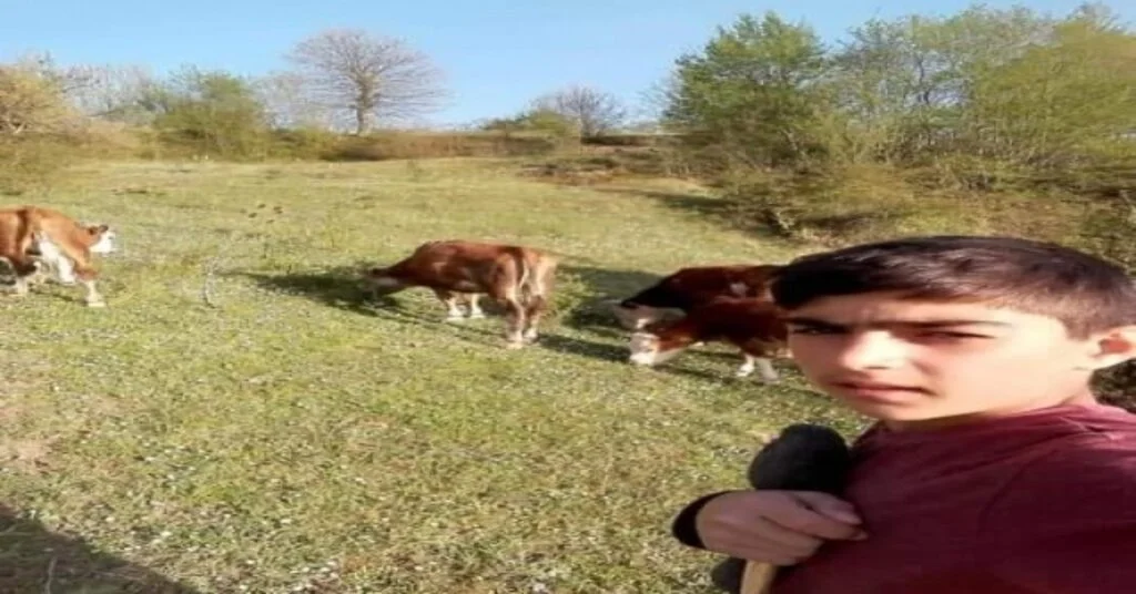 Kayalıklardan Düşen Çocuk Hayatını Kaybetti