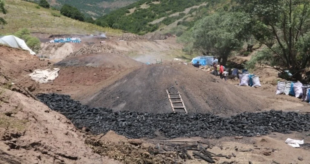 Küçük bir dikkatsizlik tüm emeklerini yok edebilir