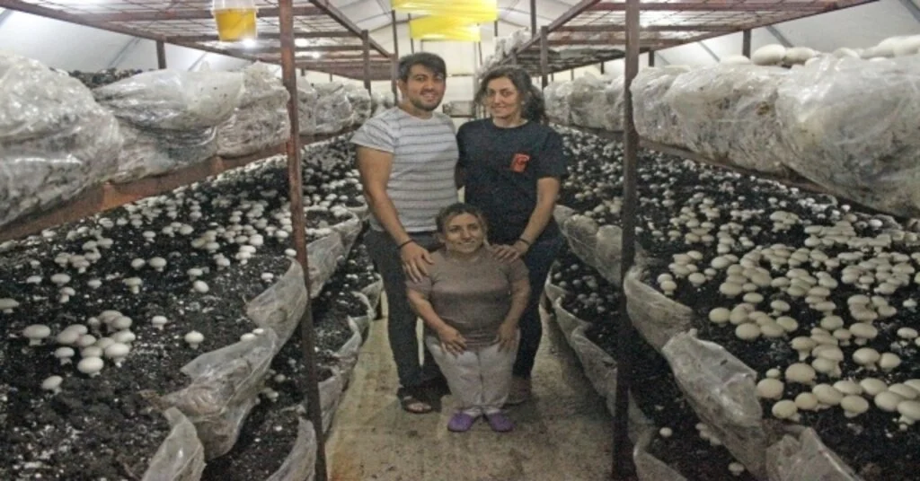 Kültür Mantarı Kaderlerini Değiştirdi