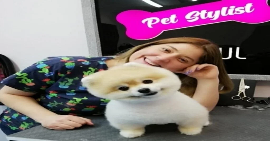 Kurumsal Hayatı Bıraktı, Sertifikalı Pet Kuaförü Oldu
