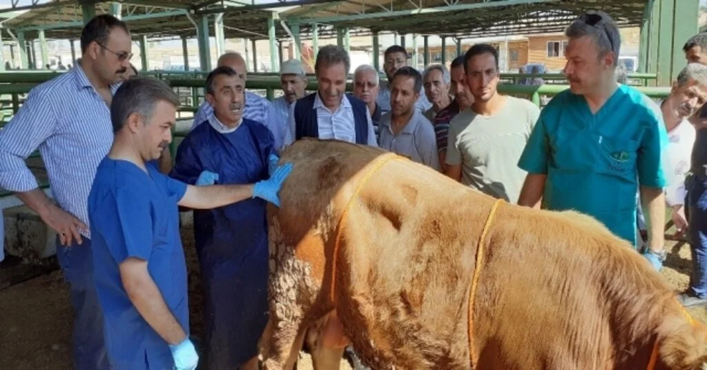 Malatyada Kurban Kesim Kursu Düzenlendi