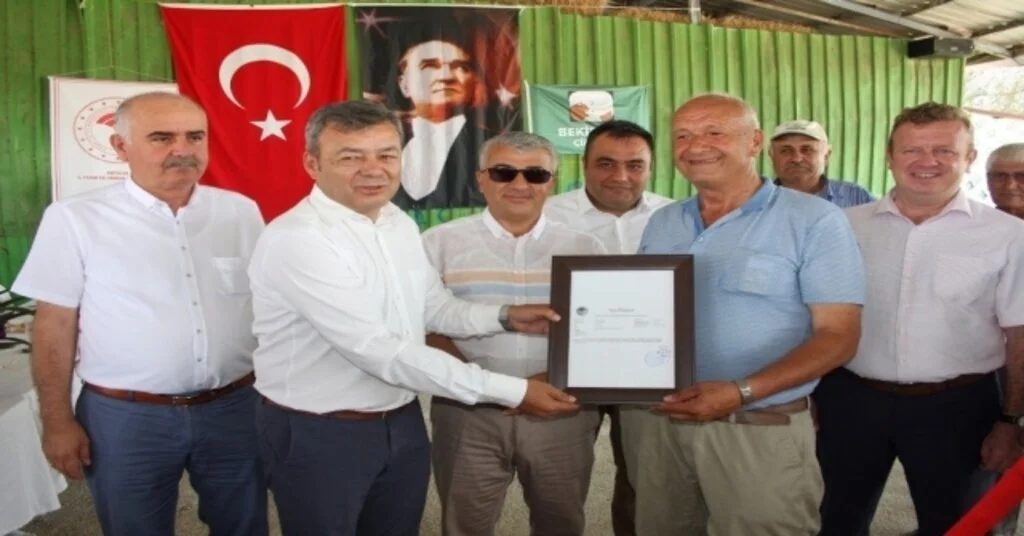 Manavgatın 3.  Hastalıktan Ari Sertifikası Verildi