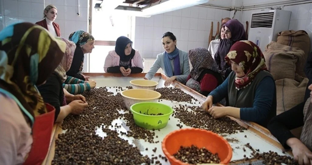 Milletvekili Karaaslan: Fındık fiyatları üreticiyi memnun etti