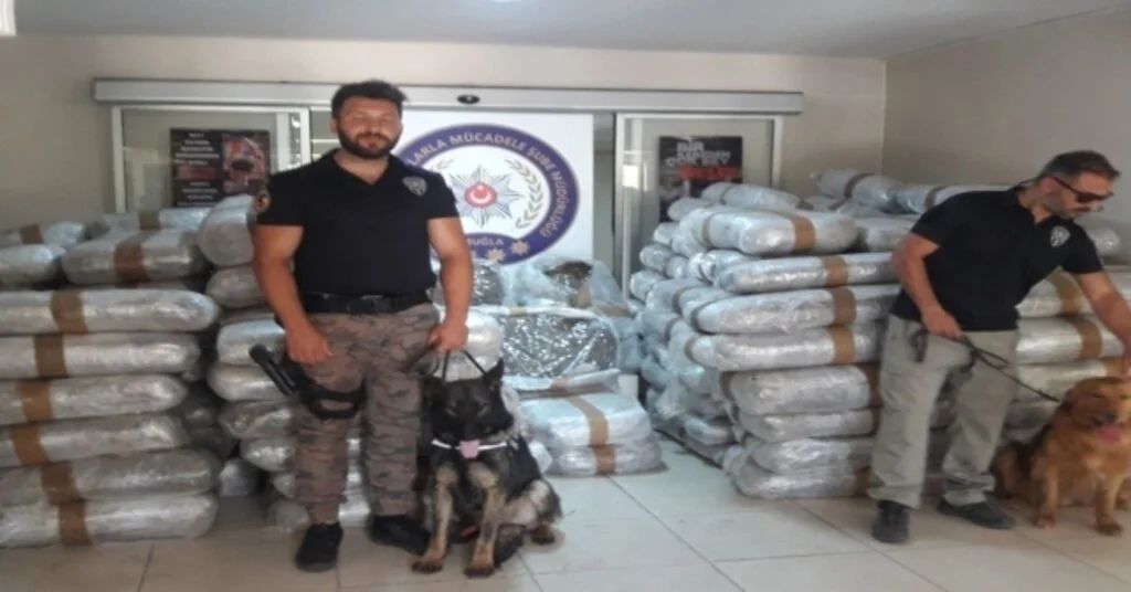 Muğlada Deniz Yoluyla Türkiyeye Sokulmak İstenen 1.5 Ton Uyuşturucu Ele Geçirildi