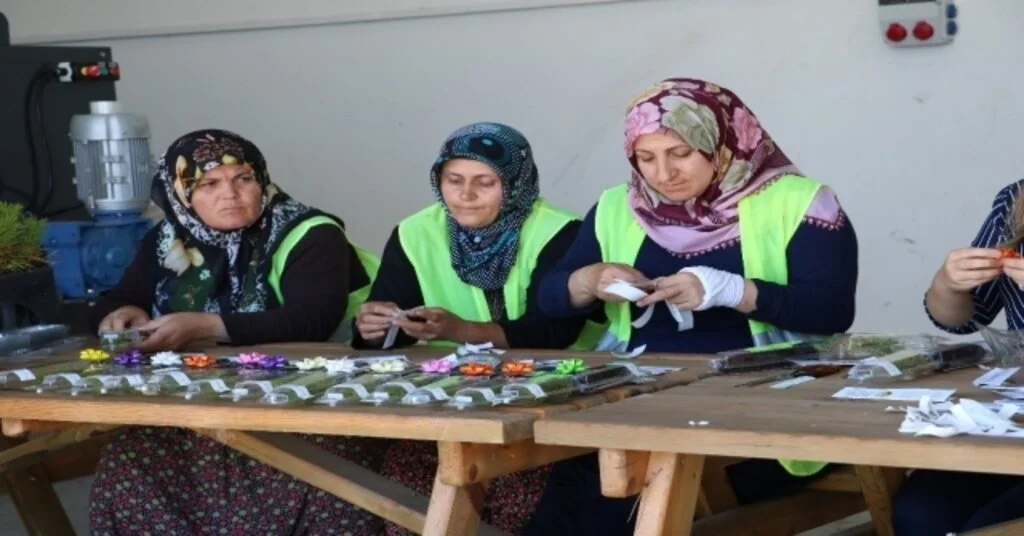 Nikah Fidanları Sivasta Üretiliyor
