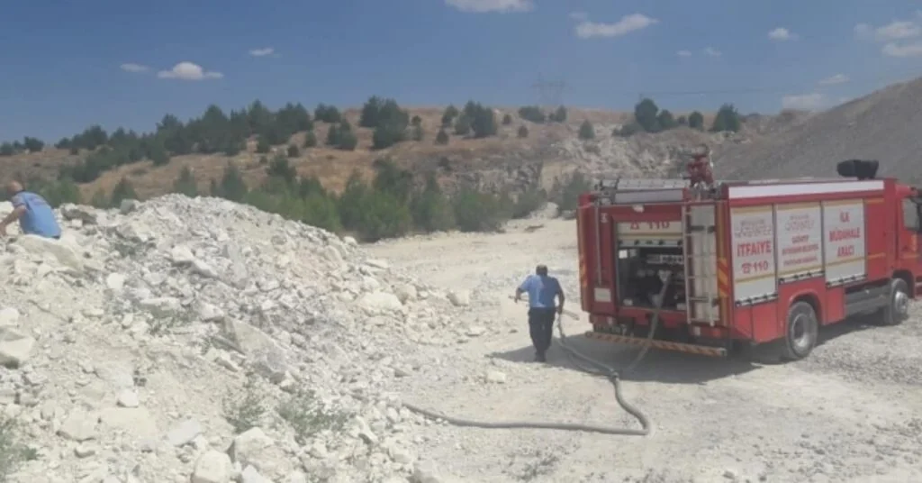 Nizipte Orman Yangını