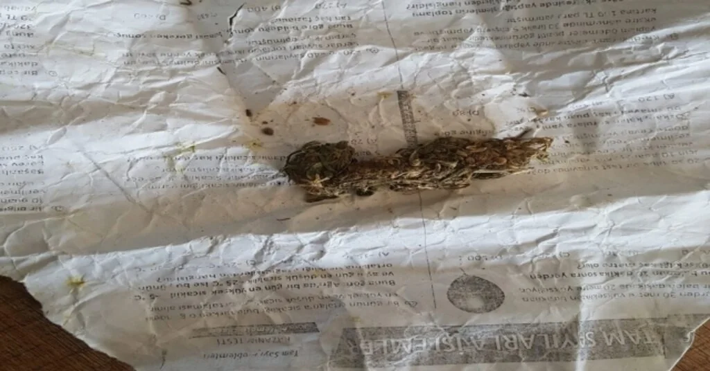 Okul Bahçesindeki Şahsın Üzerinden Uyuşturucu Çıktı