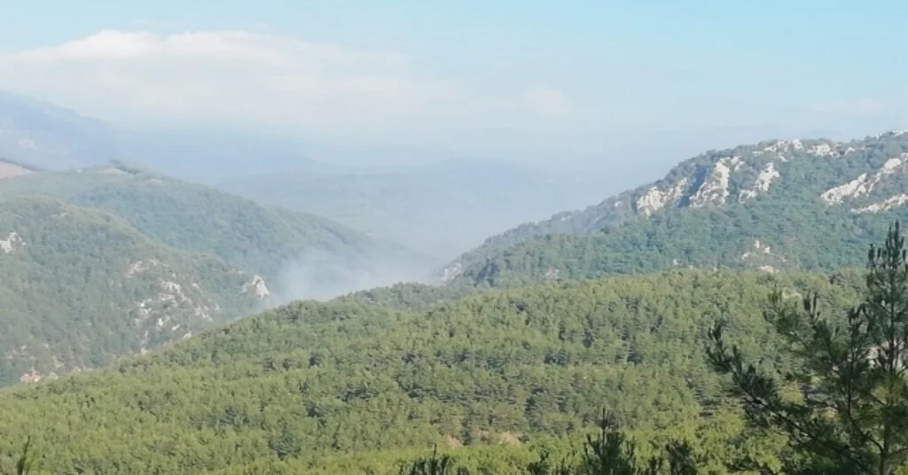 Osmaniyede Amanos Dağlarında Orman Yangını