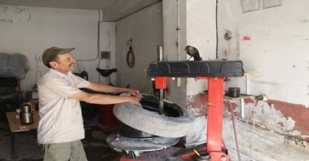 Oto Lastikçinin Kargayla Dostluğu Görenleri Şaşırtıyor