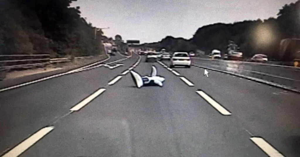 Otoyolda İlginç Kurtarma Operasyonu
