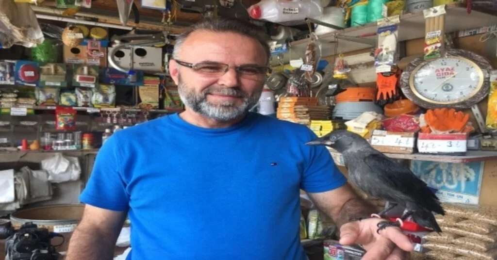 (Özel) Yuvasından Düşen Karga Yavrusu ‘Abdiyi 3 Aydır Elleriyle Besliyor
