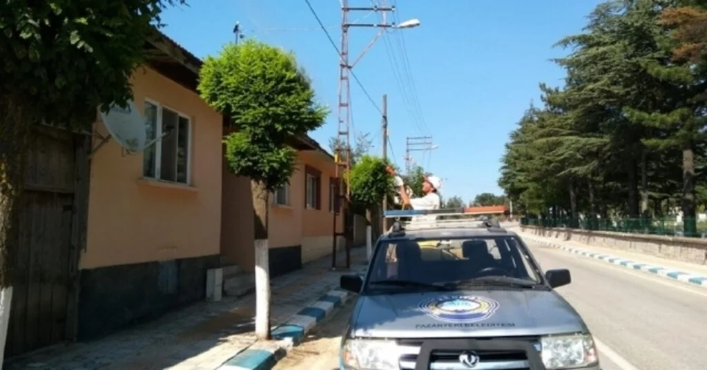 Pazaryerinde Ağaçlar İlaçlanıyor