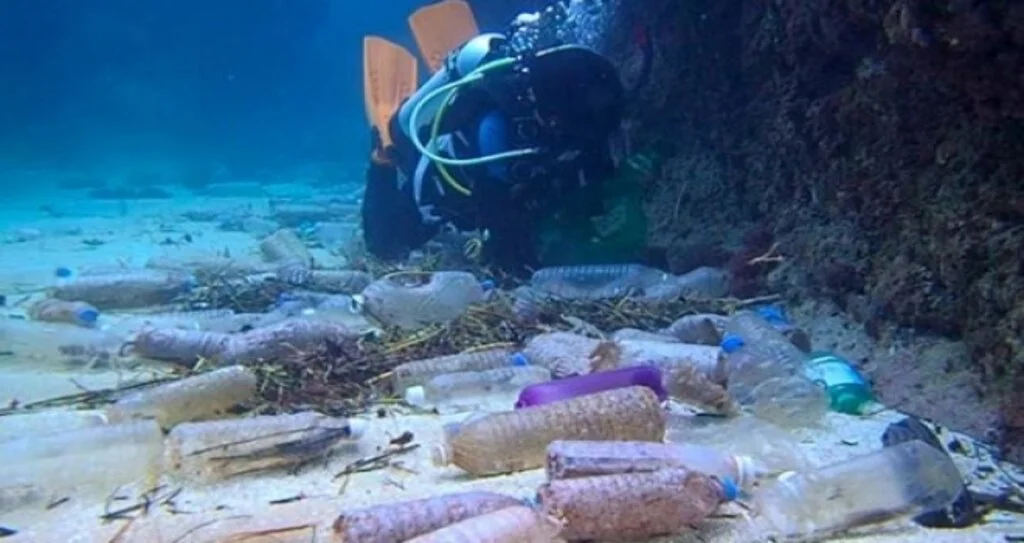 Plastik poşetlerin 11 bin metre derinliğe inmesi mümkün mü?
