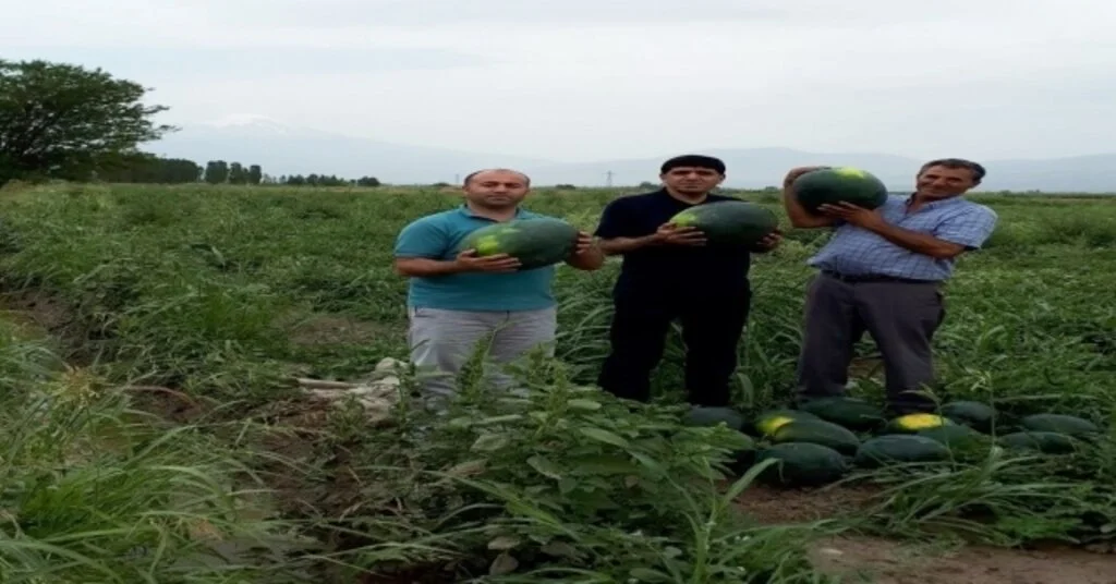 Rektör Alma, Örnek Çiftçi Akçanı Ziyaret Etti