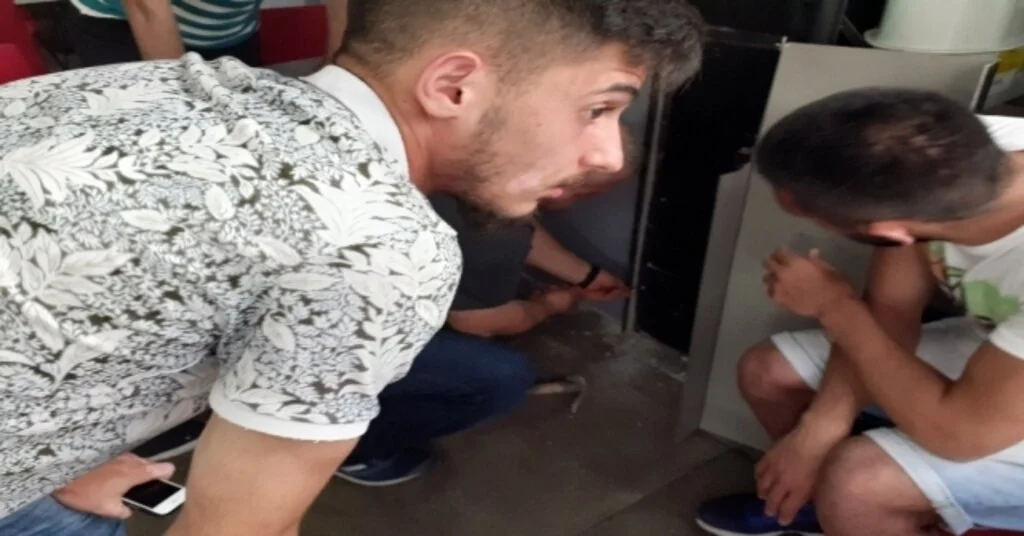 Rizede Kedi Kurtarma Operasyonu