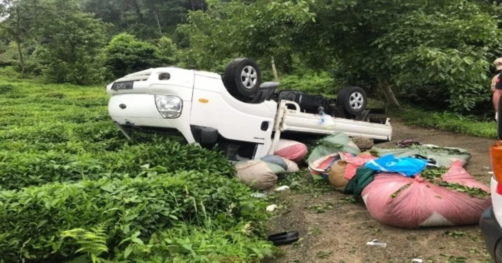 Rizede Trafik Kazası: 8 Yaralı